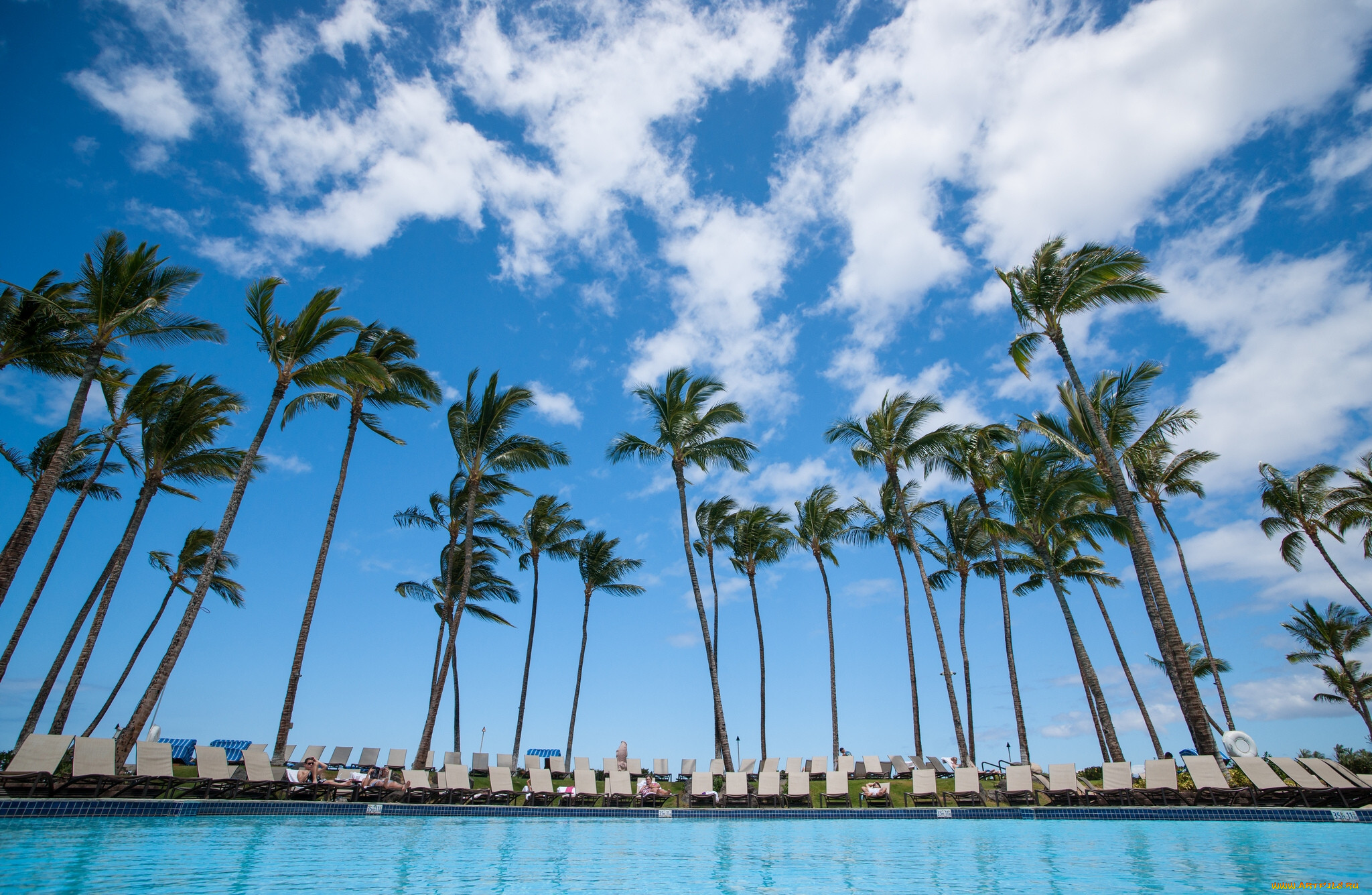 , , , , hawaii, , , 